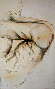 MOD 53 LUIS CABALLERO 28 X 47