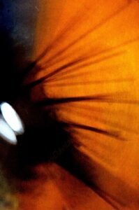 FOT 09 LUCKAS DÁVILA