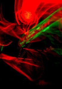 FOT 35 LUCKAS DÁVILA