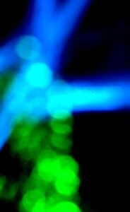 FOT 41 LUCKAS DÁVILA