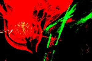 FOT 56 LUCKAS DÁVILA