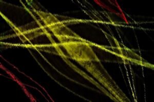 FOT 59 LUCKAS DÁVILA