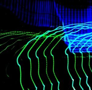 FOT 79 LUCKAS DÁVILA