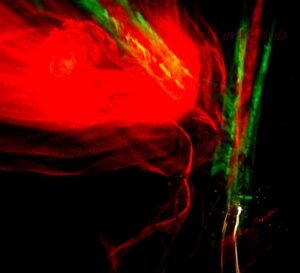 FOT 85 LUCKAS DÁVILA