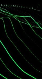 FOT 98 LUCKAS DÁVILA