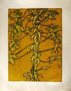 GRA 05 ENRIQUE TABARA