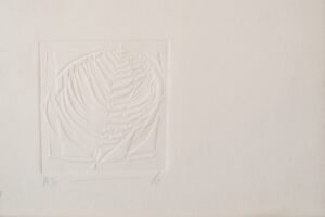 GRA 17 PAULA BARRAGAN